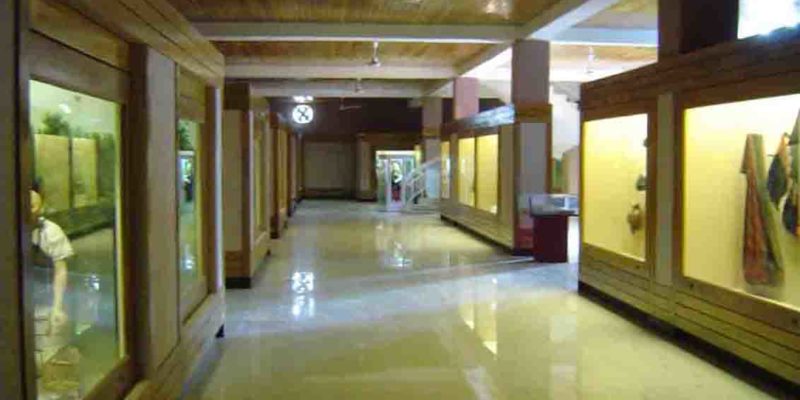MUSEUM1-800x400